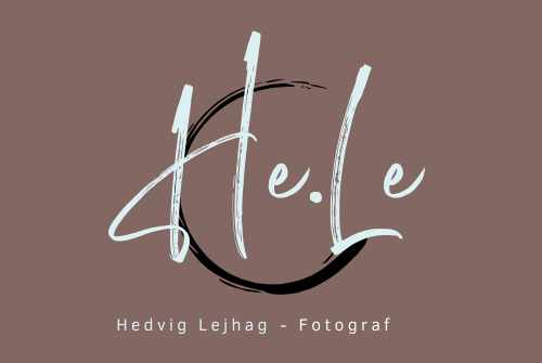 hedvig lejhag lejhag familjefotograf och branding fotograf i strömstad och norra bohuslän
